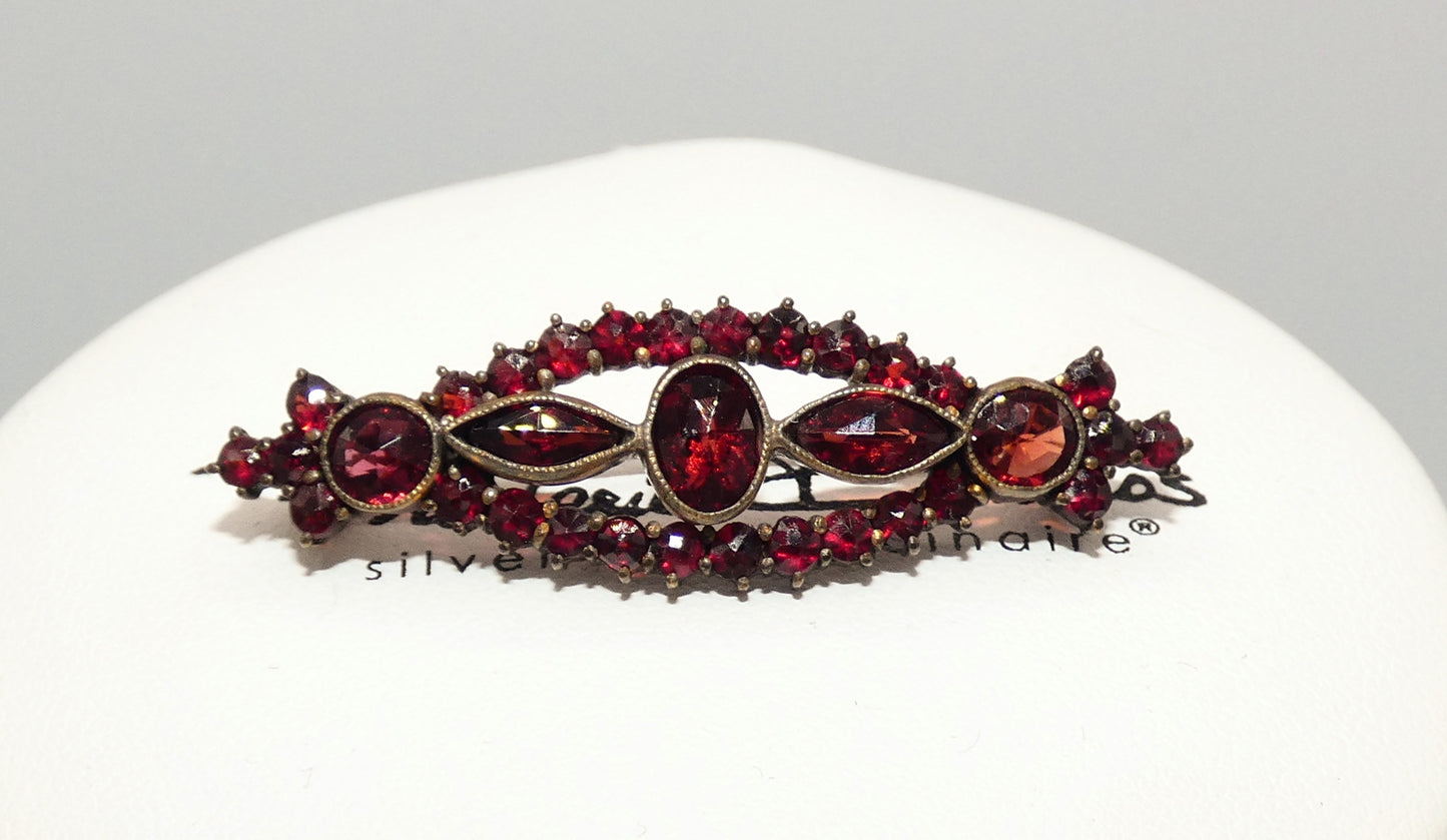 Garnet and Brass Necklace & Pin Set