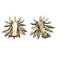 Schreiner Flower Brooch & Clip-On Earrings