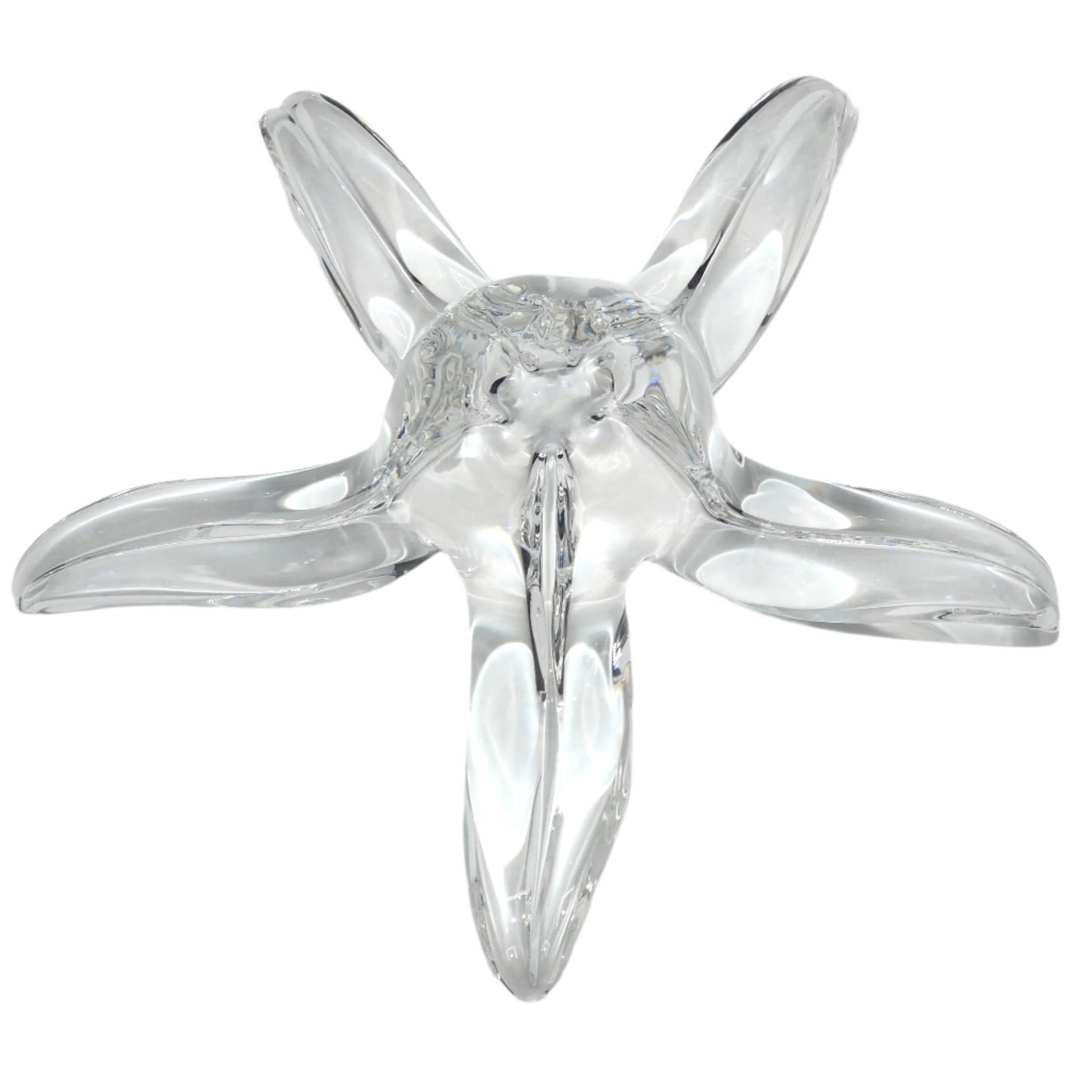 Steuben Glass Starfish