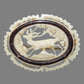 Celluloid Outdoor Buck Deer Woodland Scene Pin