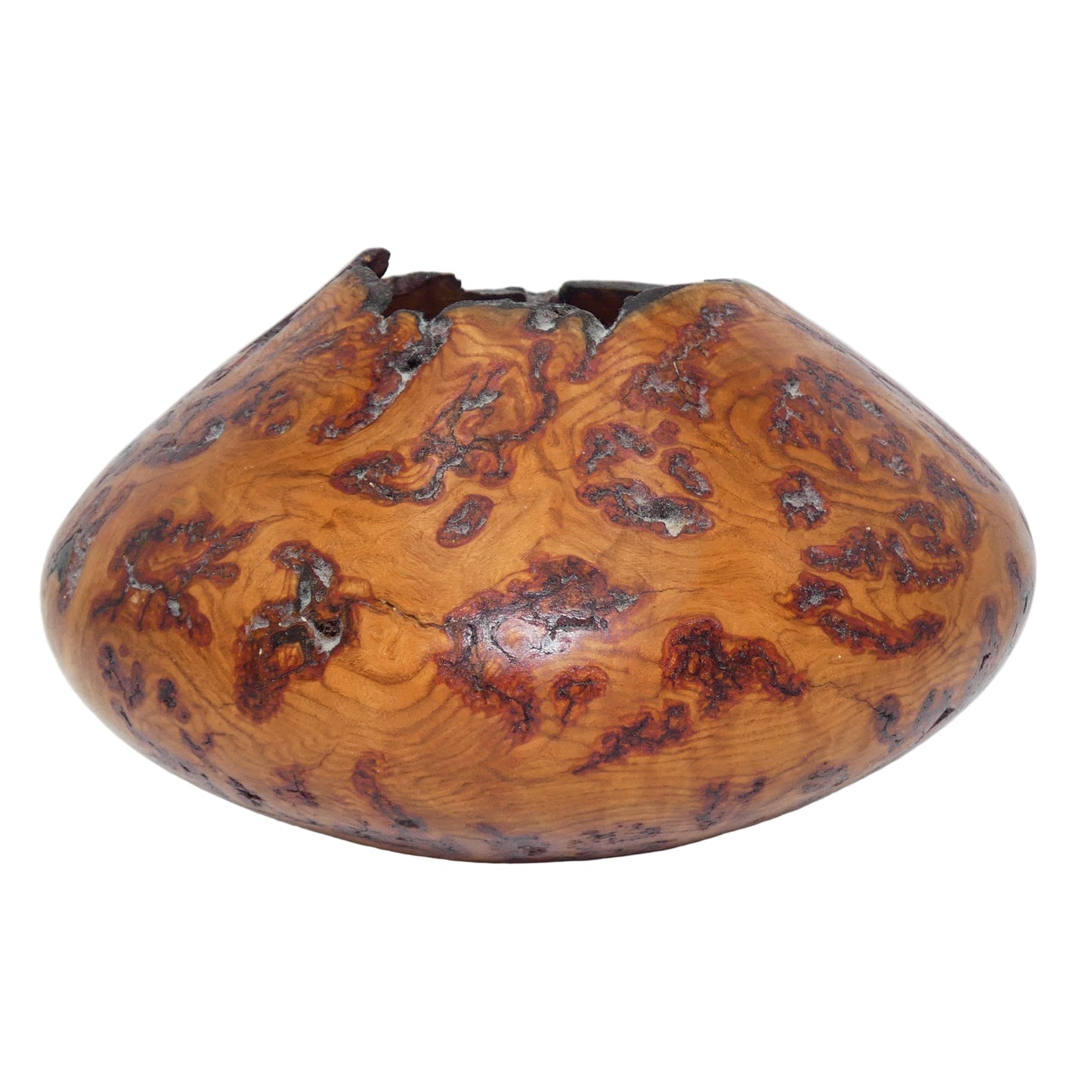 Aspen Burl Wood Vase Bowl