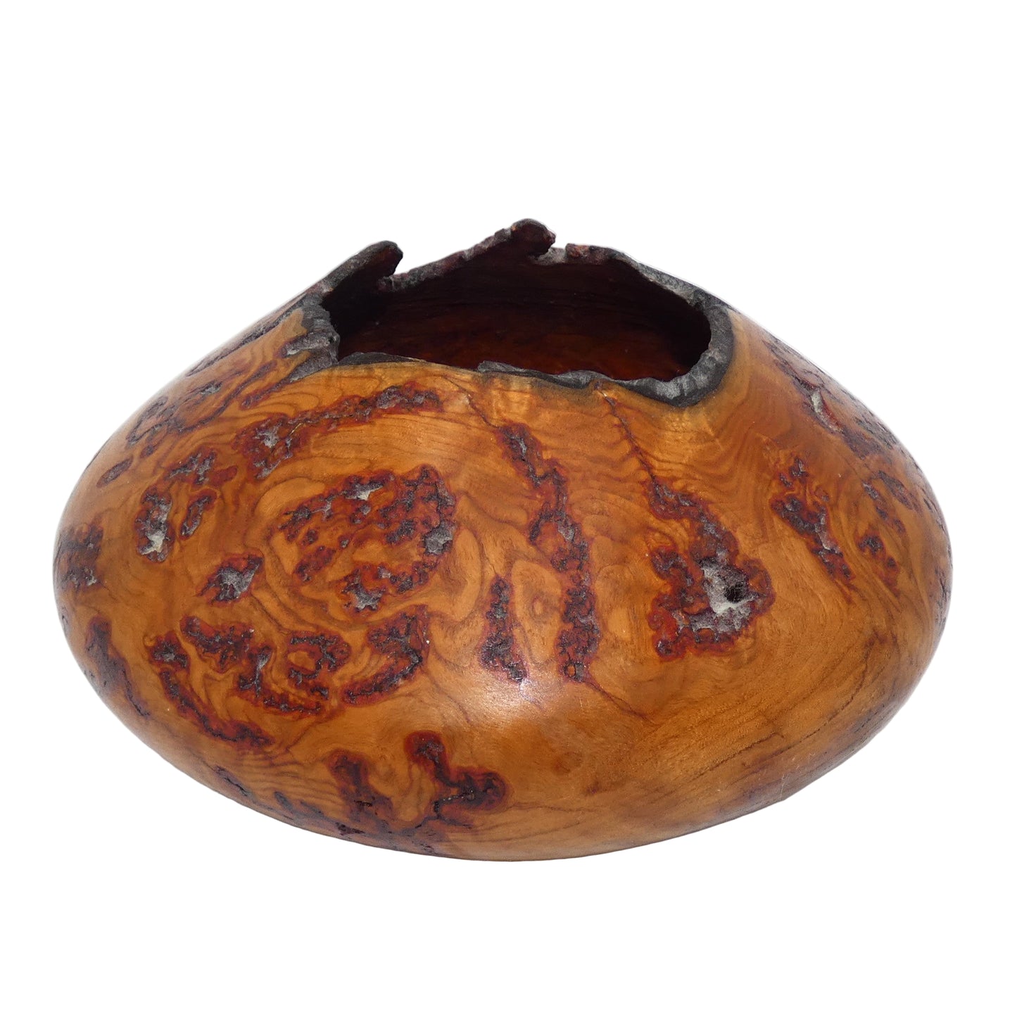 Aspen Burl Wood Vase Bowl