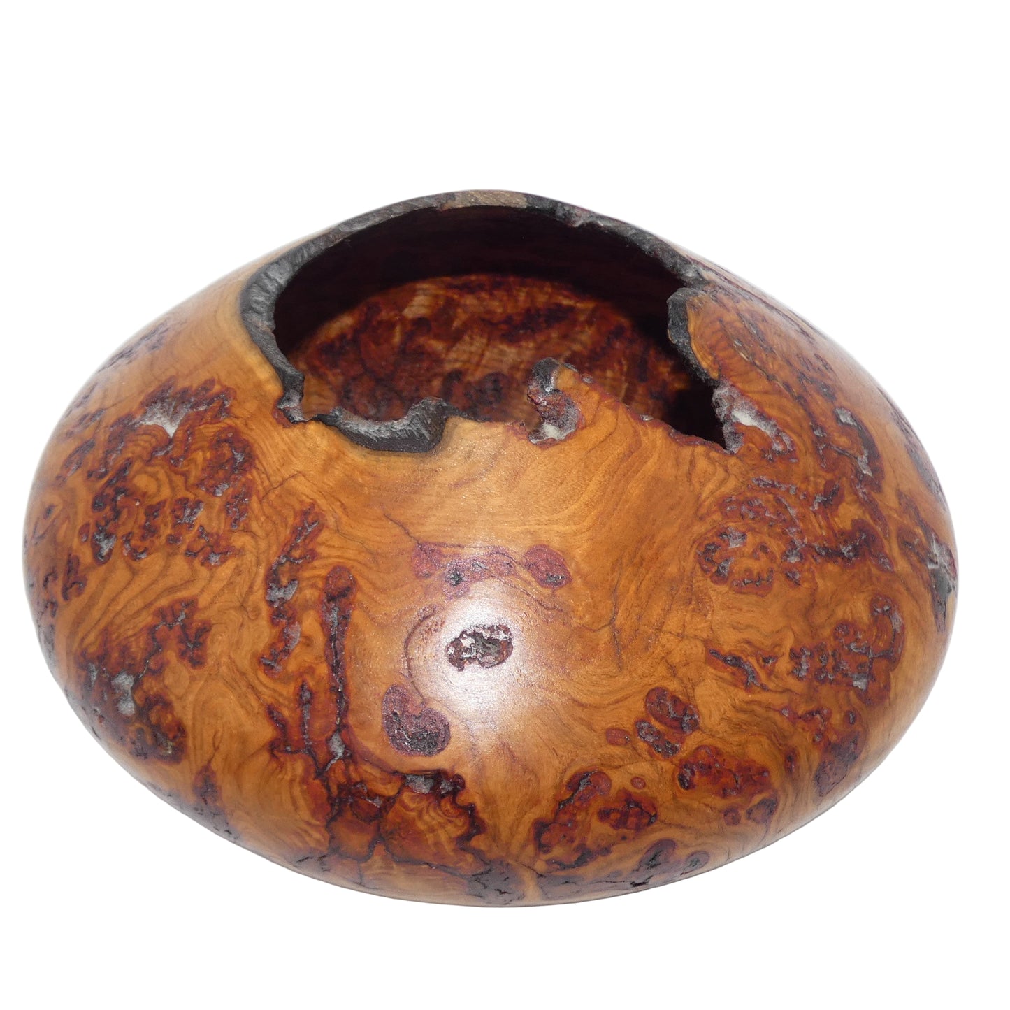 Aspen Burl Wood Vase Bowl