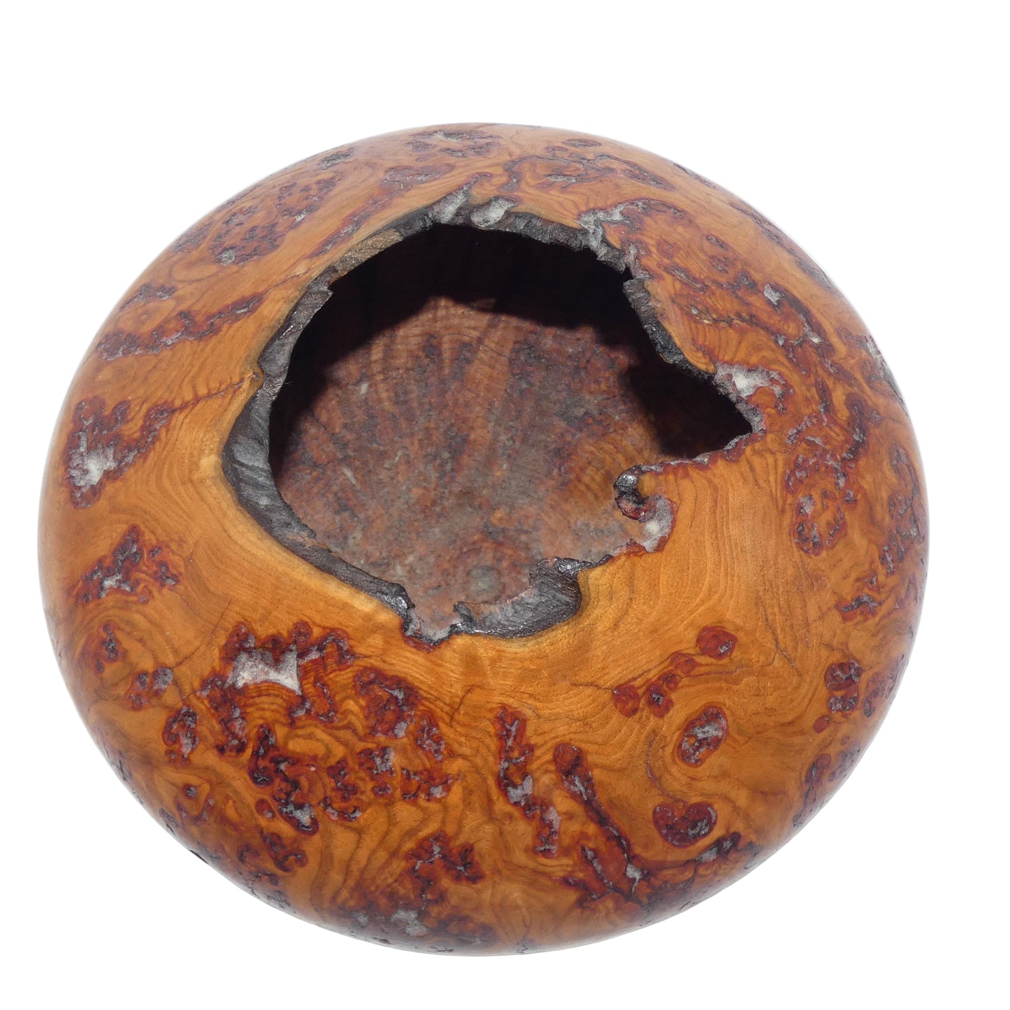 Aspen Burl Wood Vase Bowl