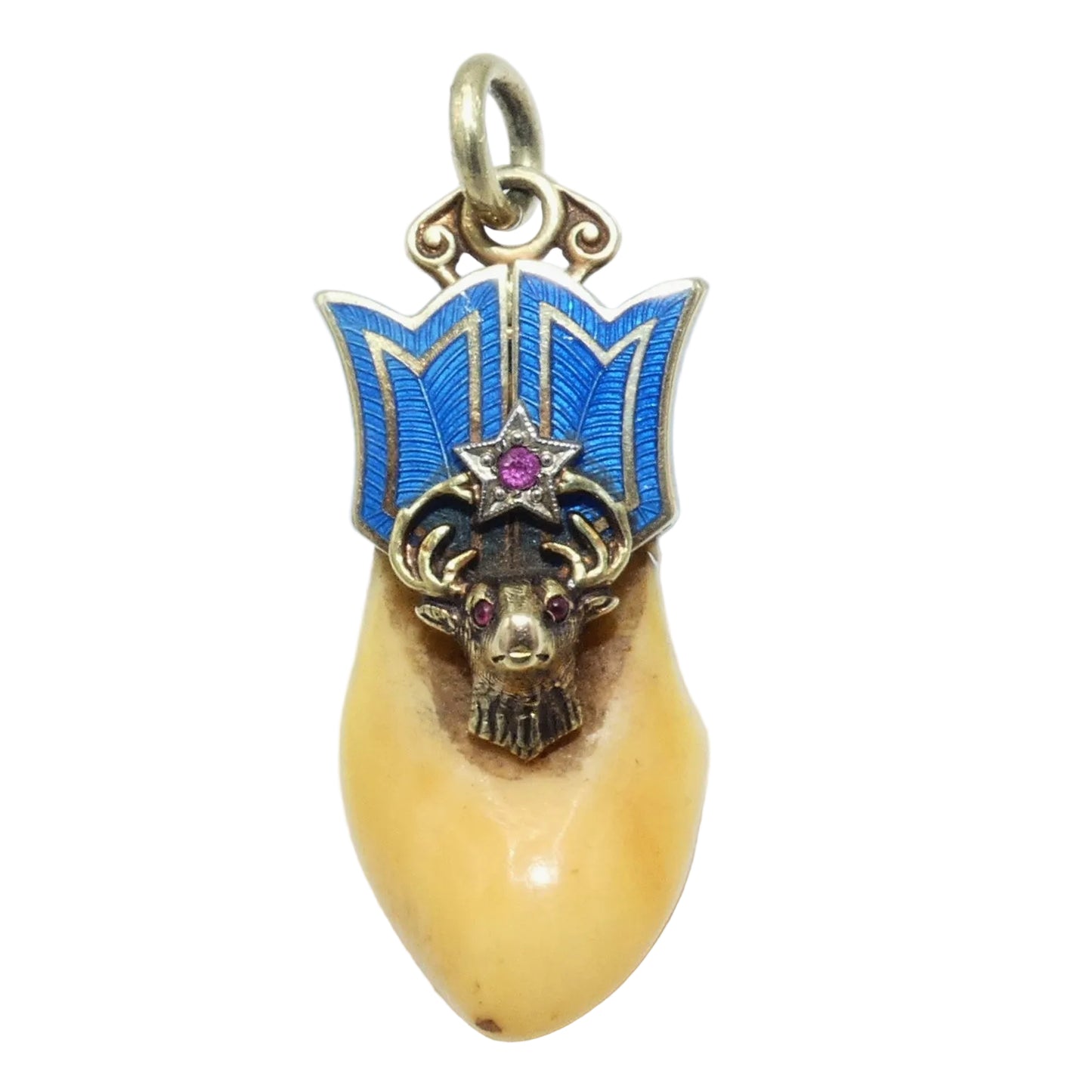 Antique 14K Gold Elks Tooth BPOE