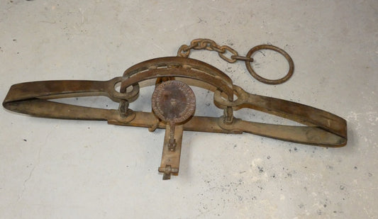 Newhouse #15 Bear Trap